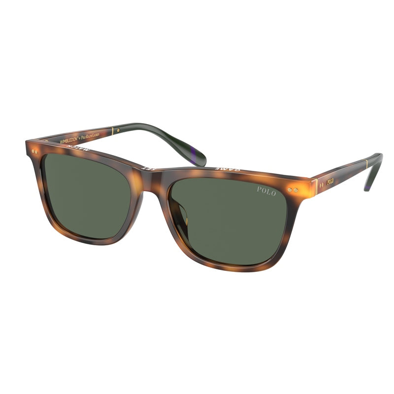 Sonnenbrille Polo Ralph Lauren, Modell: 0PH4205U Farbe: 608971