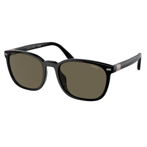 Sonnenbrille Polo Ralph Lauren, Modell: 0PH4208U Farbe: 50013
