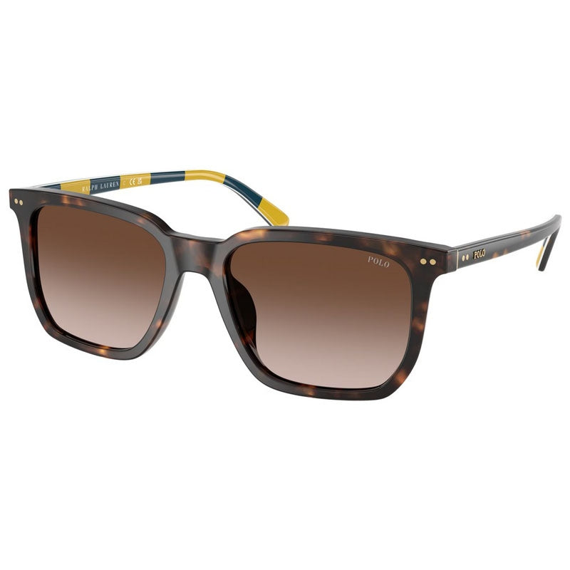 Sonnenbrille Polo Ralph Lauren, Modell: 0PH4224U Farbe: 500313