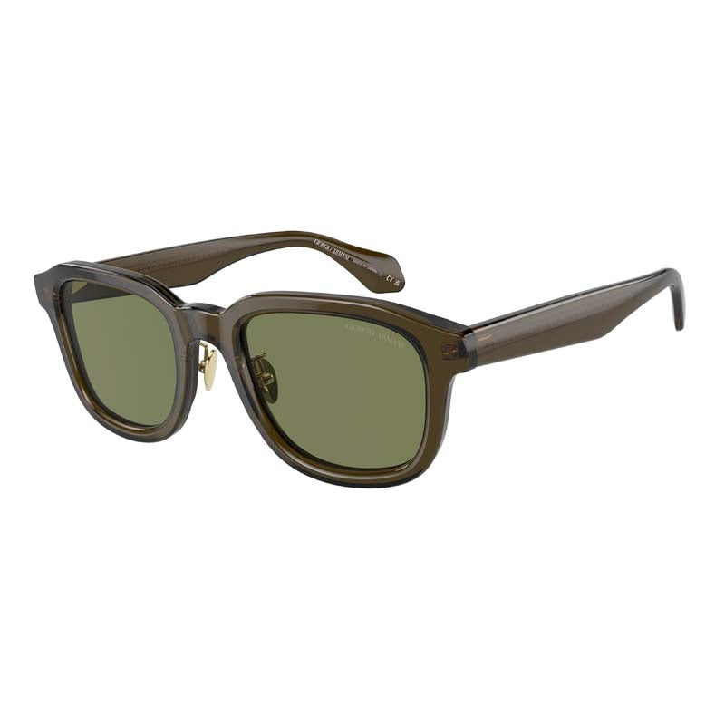 Sonnenbrille Giorgio Armani, Modell: 0AR8206 Farbe: 60612A