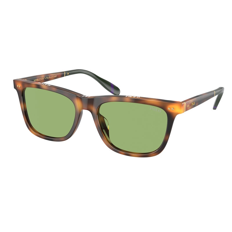 Sonnenbrille Polo Ralph Lauren, Modell: 0PH4205U Farbe: 60892