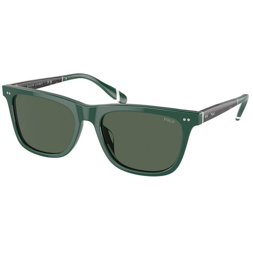 Sonnenbrille Polo Ralph Lauren, Modell: 0PH4205U Farbe: 614171