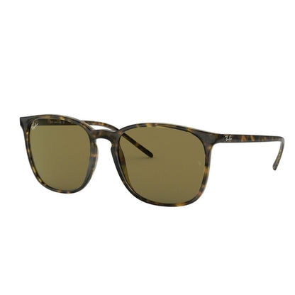 Sonnenbrille Ray Ban, Modell: 0RB4387 Farbe: 71073