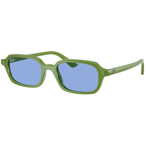 Sonnenbrille Ray Ban, Modell: 0RB4455 Farbe: 681080