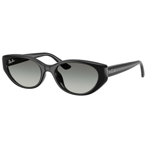 Sonnenbrille Ray Ban, Modell: 0RB4457D Farbe: 667711