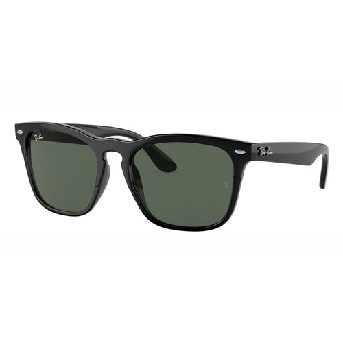 Sonnenbrille Ray Ban, Modell: 0RB4487 Farbe: 662971