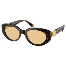 Lade das Bild in den Galerie-Viewer, Sonnenbrille Swarovski Eyewear, Modell: 0SK6002 Farbe: 10028
