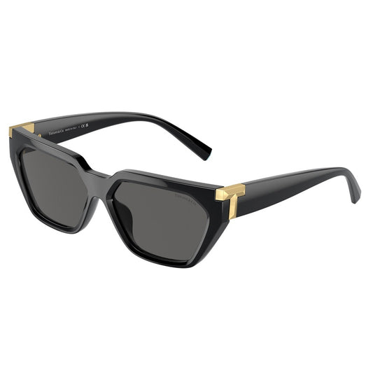 Sonnenbrille Tiffany, Modell: 0TF4205U Farbe: 8001S4