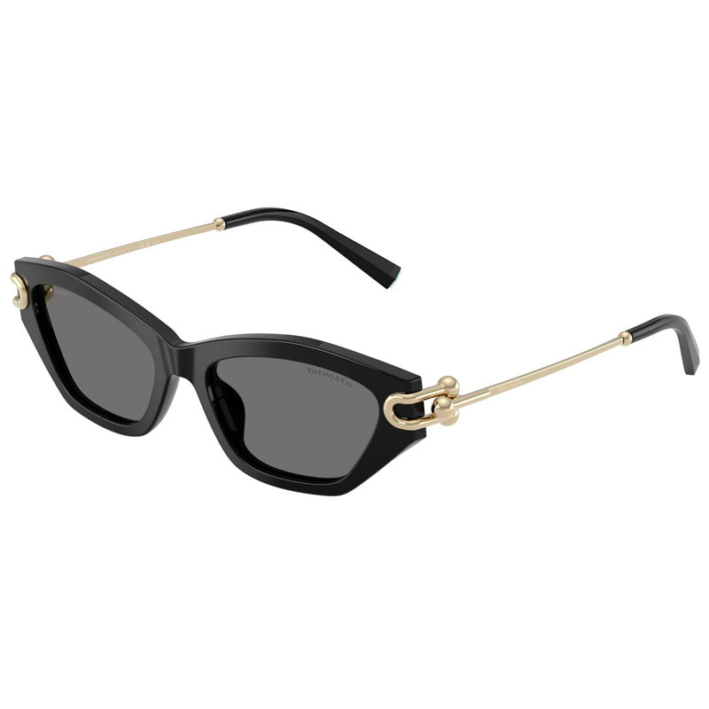 Sonnenbrille Tiffany, Modell: 0TF4231U Farbe: 800181