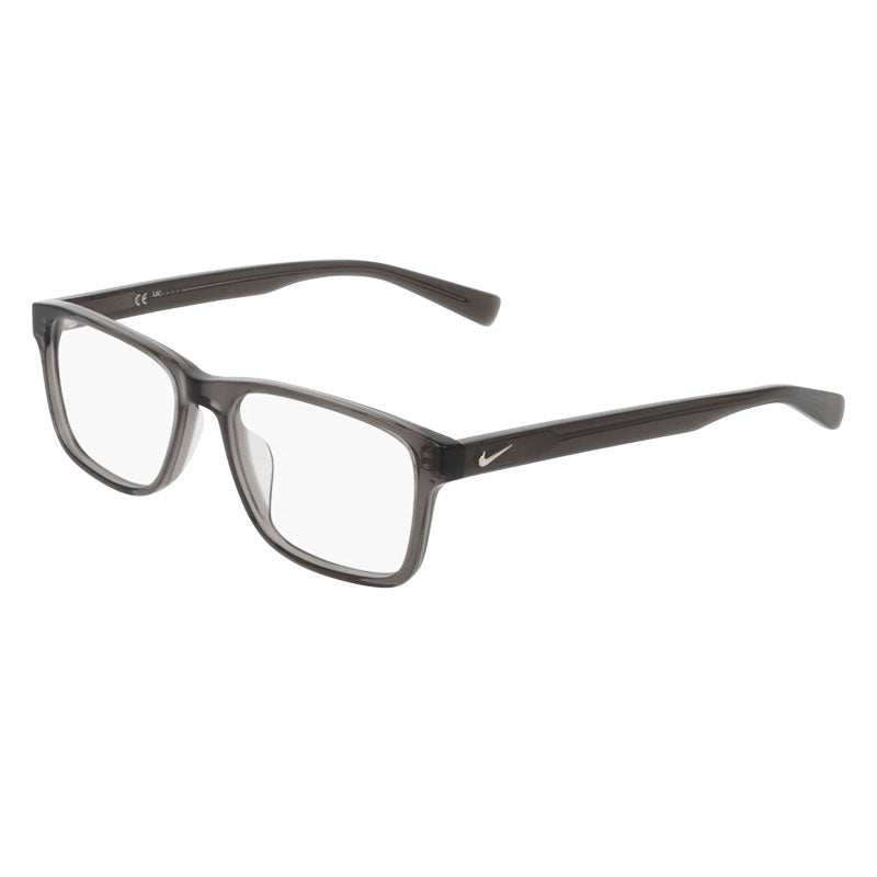 Brille Nike, Modell: 1000C Farbe: 034