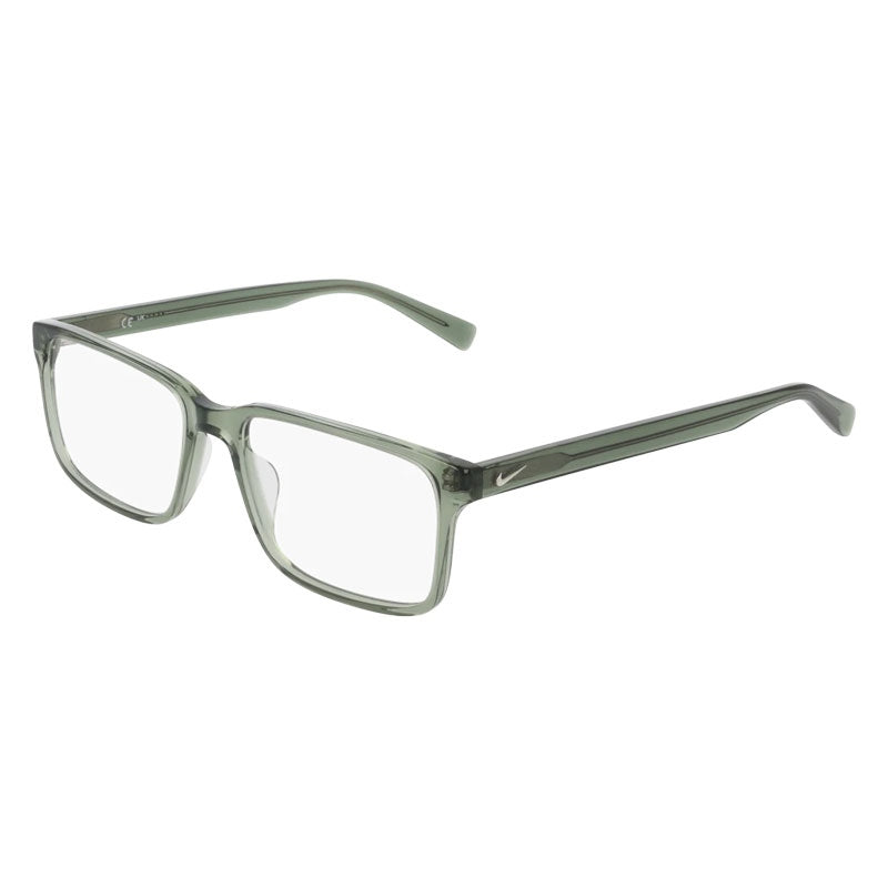 Brille Nike, Modell: 1001 Farbe: 311