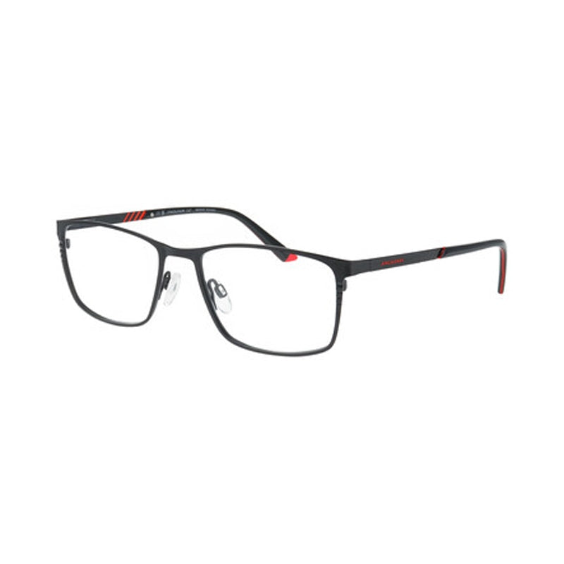 Brille Jaguar, Modell: 33649 Farbe: 6100