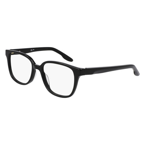 Brille Nike, Modell: 7172 Farbe: 001