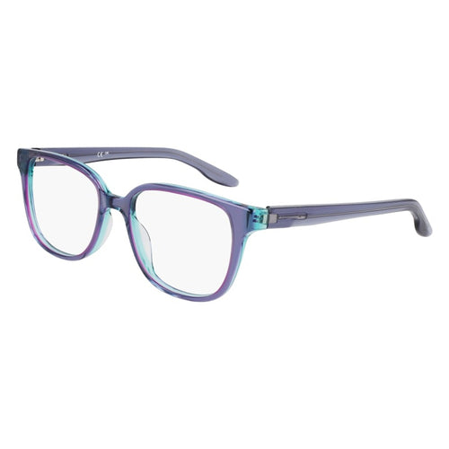 Brille Nike, Modell: 7172 Farbe: 426