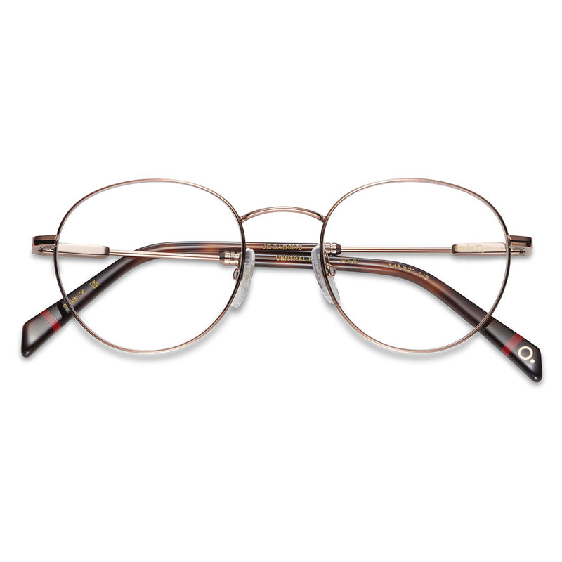 Brille Etnia Barcelona, Modell: CentralPark Farbe: PGHV