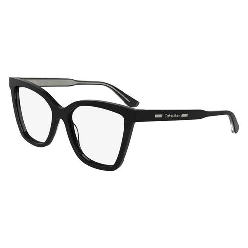 Brille Calvin Klein, Modell: CK24550MagSet Farbe: 001