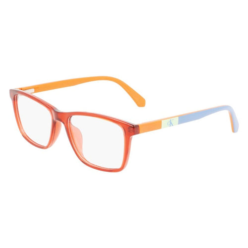 Brille Calvin Klein Jeans, Modell: CKJ22302 Farbe: 820