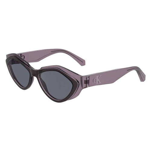 Sonnenbrille Calvin Klein Jeans, Modell: CKJ24621S Farbe: 508