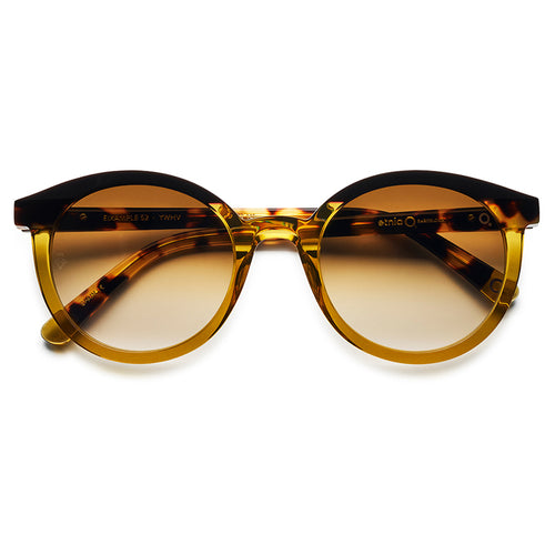 Sonnenbrille Etnia Barcelona, Modell: Eixample Farbe: YWHV