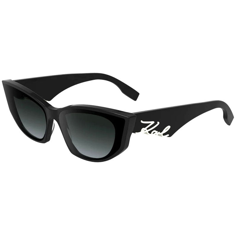 Sonnenbrille Karl Lagerfeld, Modell: KL6162S Farbe: 001