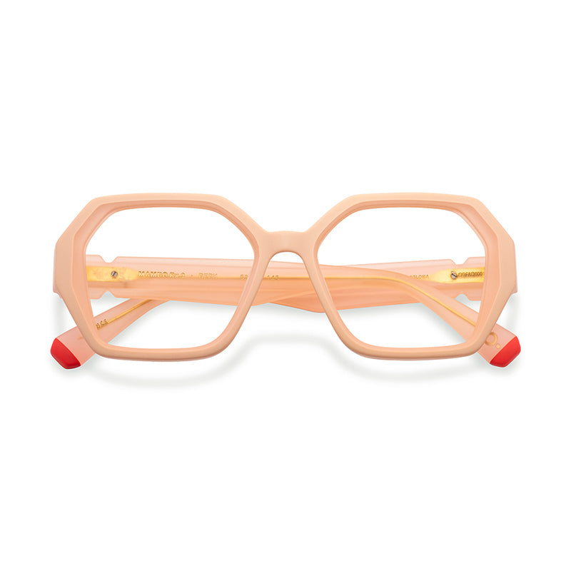 Brille Etnia Barcelona, Modell: MamboRX2 Farbe: BEPK