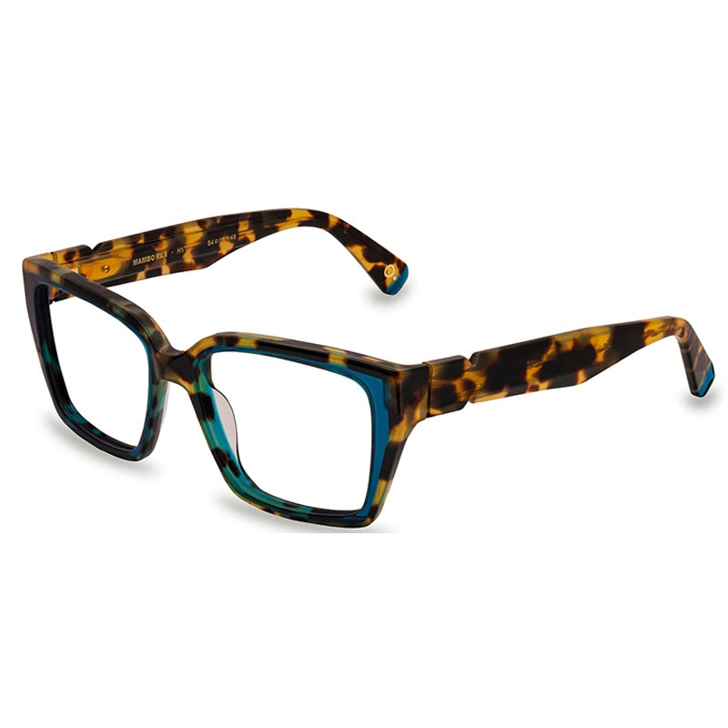 Brille Etnia Barcelona, Modell: MamboRX6 Farbe: HVTQ