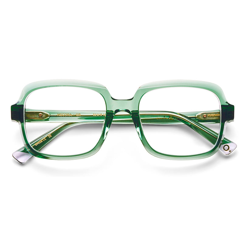 Brille Etnia Barcelona, Modell: Necora Farbe: GR