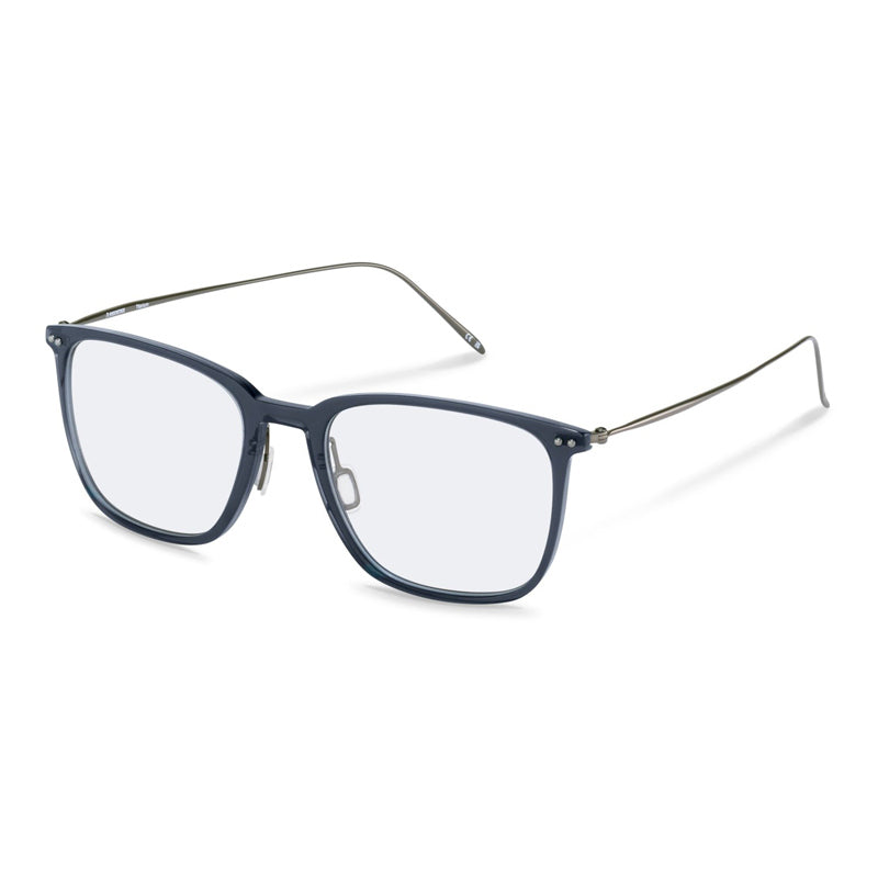 Brille Rodenstock, Modell: R7168 Farbe: D