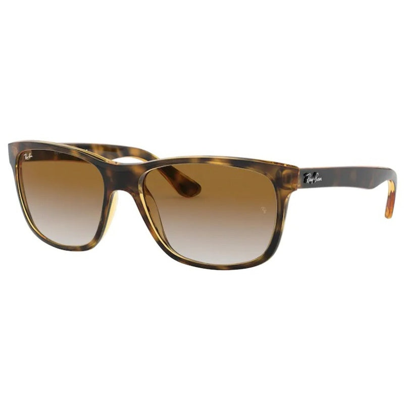 Sonnenbrille Ray Ban, Modell: RB4181 Farbe: 71051