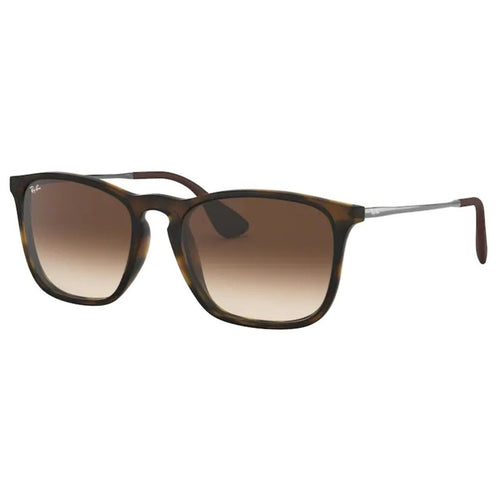 Sonnenbrille Ray Ban, Modell: RB4187 Farbe: 85613