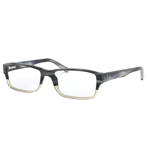 Brille Ray Ban, Modell: RX5169 Farbe: 5540