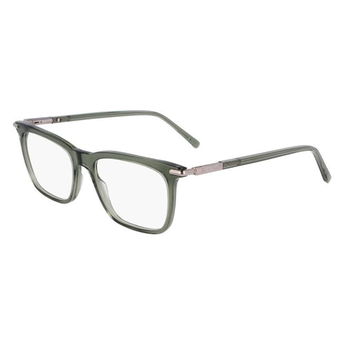 Brille Salvatore Ferragamo, Modell: SF3007 Farbe: 317