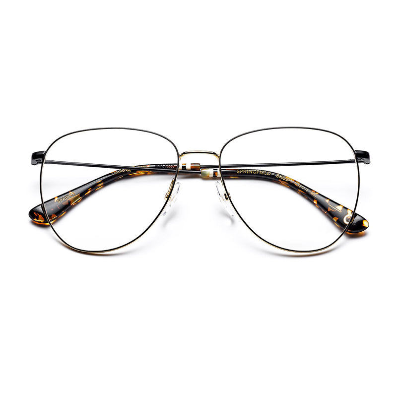 Brille Etnia Barcelona, Modell: Springfield Farbe: BKGD