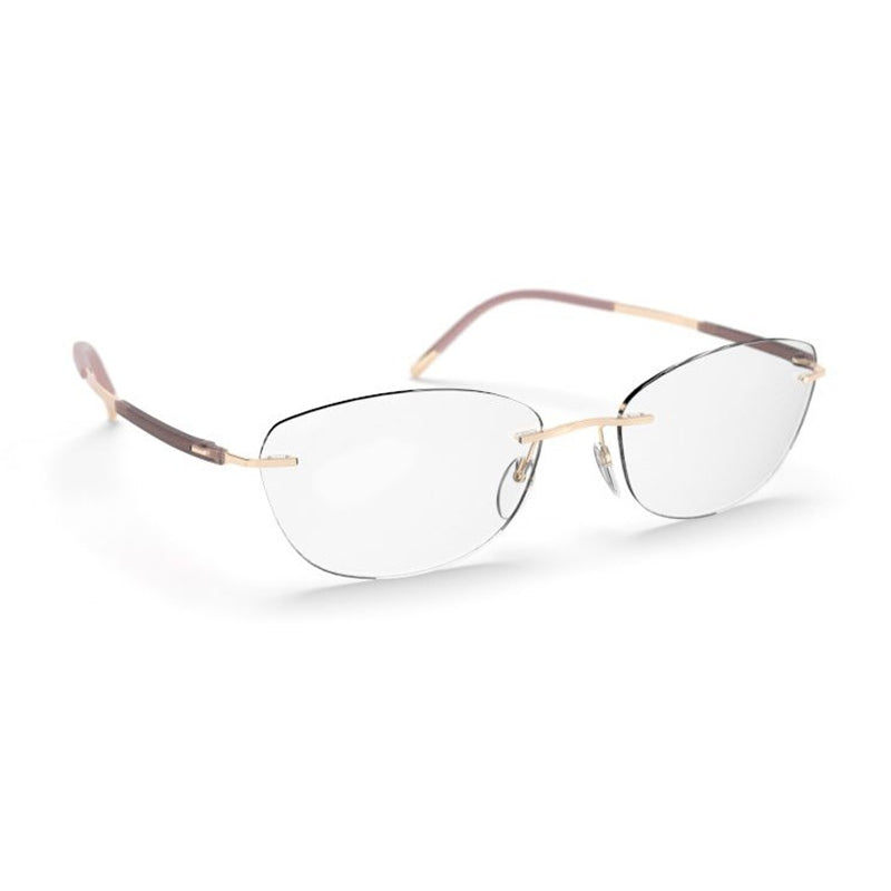 Brille Silhouette, Modell: TitanDynamicsContour5540JM Farbe: 3530