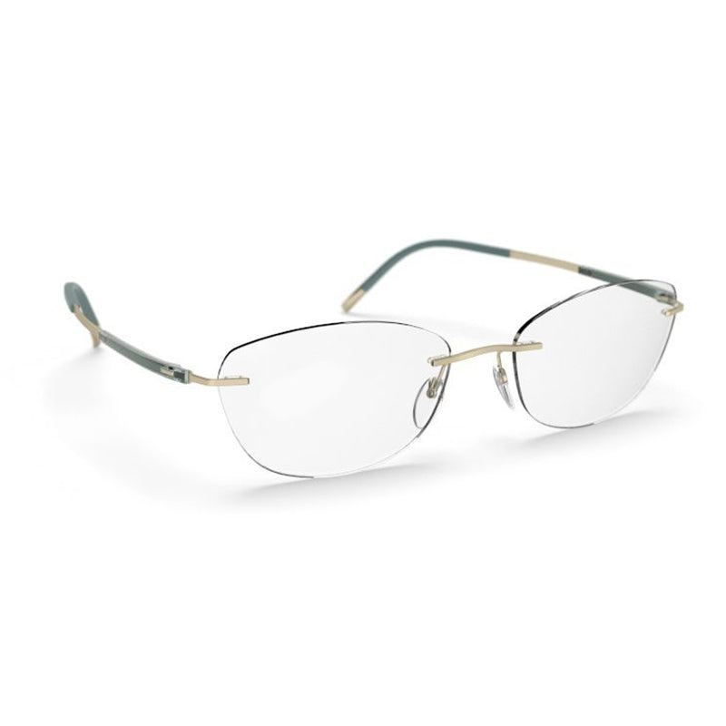 Brille Silhouette, Modell: TitanDynamicsContour5540JM Farbe: 8540