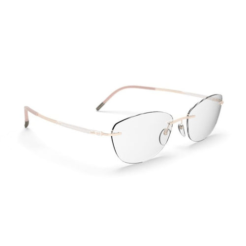 Brille Silhouette, Modell: TitanDynamicsContour5540JN Farbe: 8640