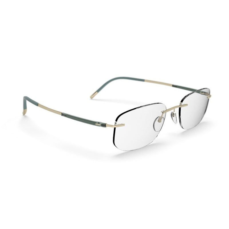 Brille Silhouette, Modell: TitanDynamicsContour5540JO Farbe: 8540