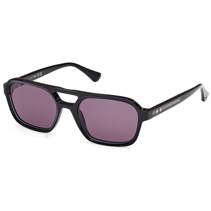 Brille Web, Modell: WE0376 Farbe: 05A