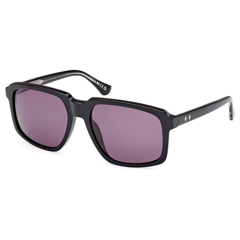 Brille Web, Modell: WE0378 Farbe: 05A