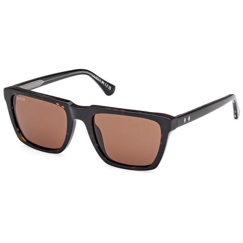 Brille Web, Modell: WE0379 Farbe: 56E