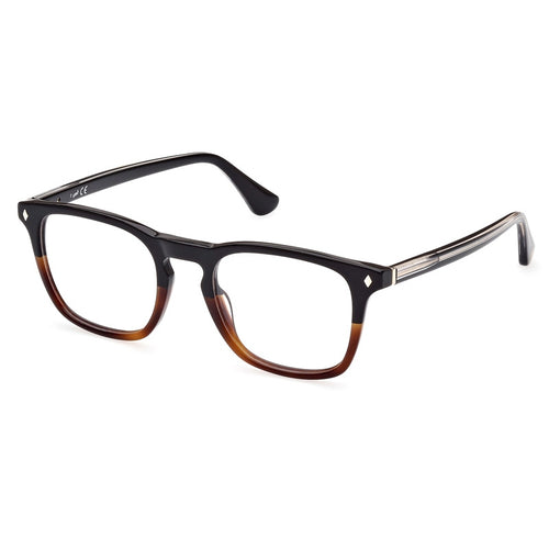 Brille Web, Modell: WE5386 Farbe: 056