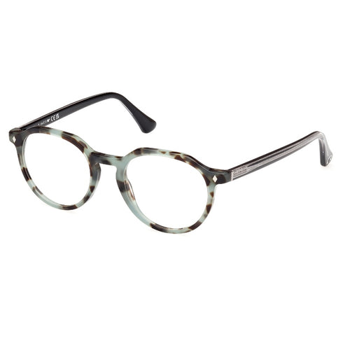 Brille Web, Modell: WE5427 Farbe: 055
