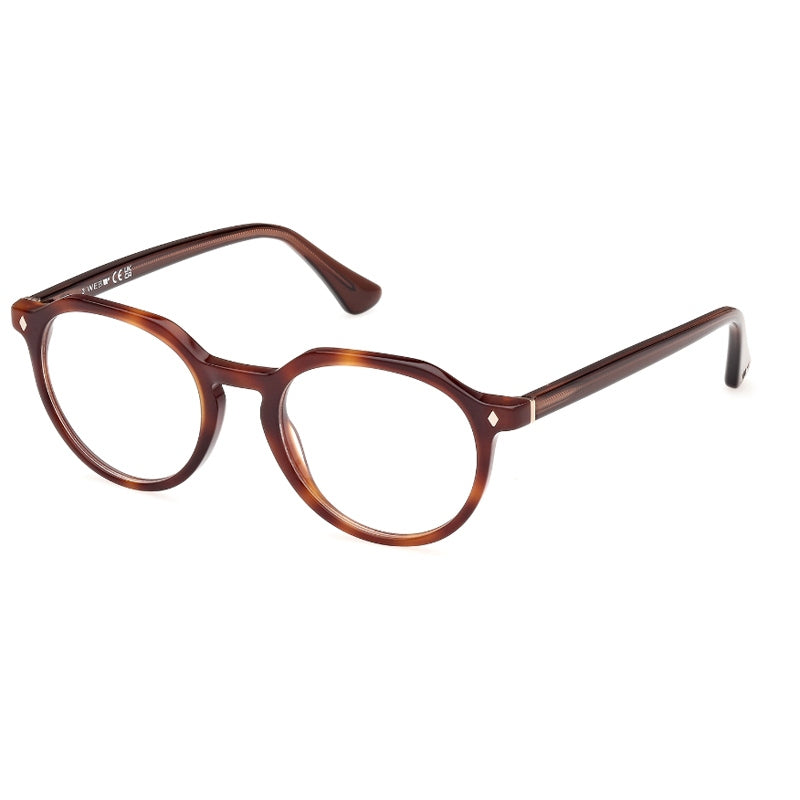 Brille Web, Modell: WE5427 Farbe: 056