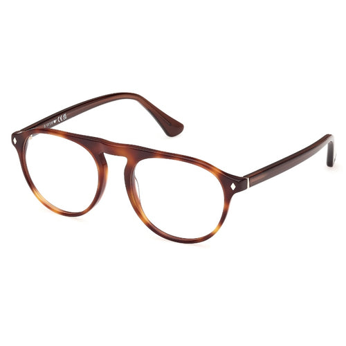 Brille Web, Modell: WE5429 Farbe: 056