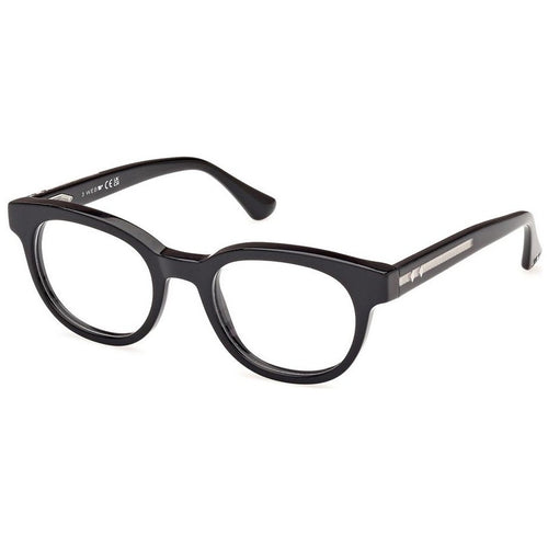Brille Web, Modell: WE5431 Farbe: 005