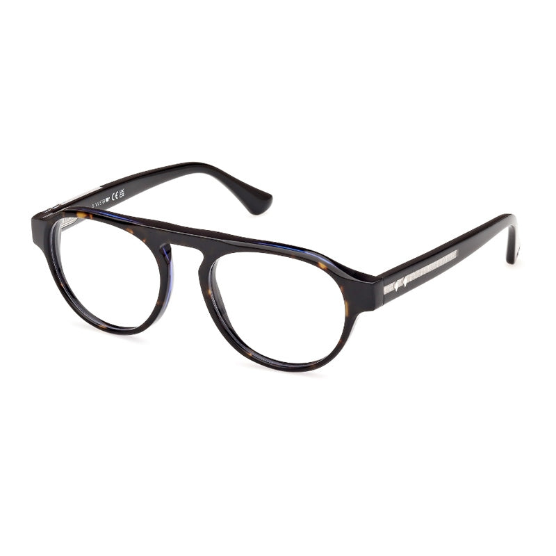 Brille Web, Modell: WE5433 Farbe: 056
