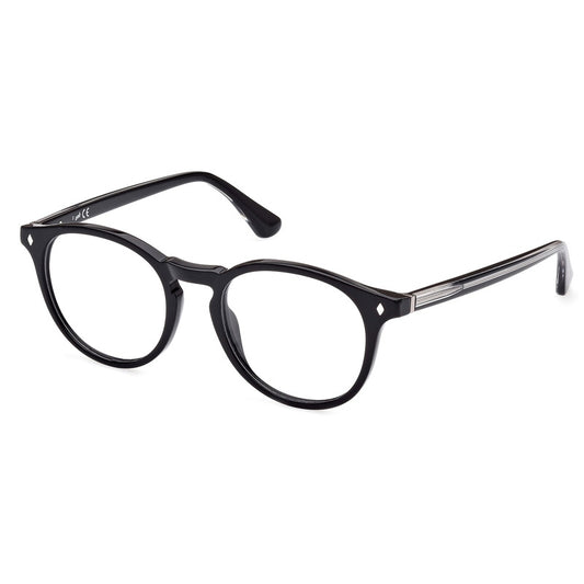 Brille Web, Modell: WE5387 Farbe: 005